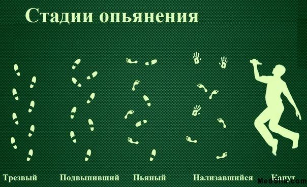 стадии опьянения